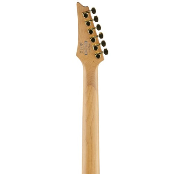 Ibanez RG421HPAH Solid Nyatoh Body Electric Guitar HH Pickup with Jatoba Fretboard - Blue Wave Black