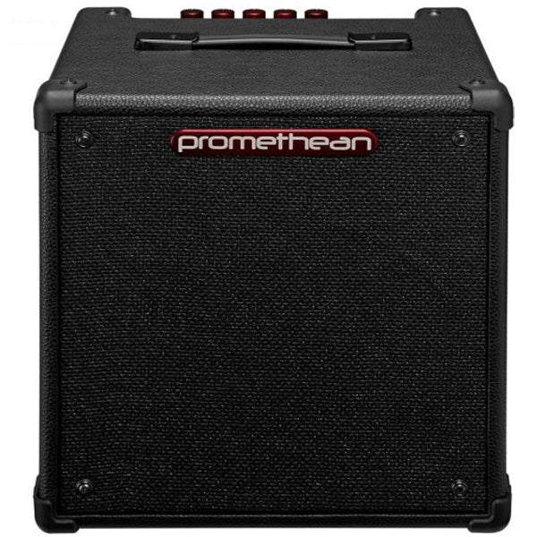 Ibanez P20E 1x8 Inch Promethean 20 Watt Bass Combo Amplifier (P20 P20 E)