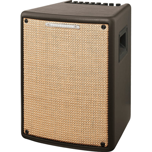 Ibanez T80II 1x8 Inch Troubadour 80 Watt Acoustic Guitar Amplifier (T80II E)