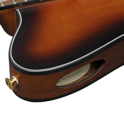 Ibanez FRH10N 6 String Nylon Body Acoustic Electric Guitar - Brown Sunburst Flat