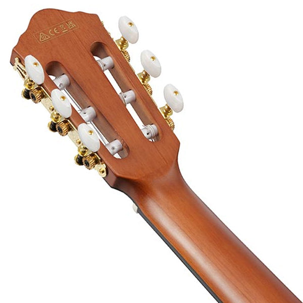 Ibanez FRH10N 6 String Nylon Body Acoustic Electric Guitar - Brown Sunburst Flat