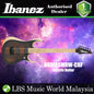 [Discontinued] Ibanez RGDIX6MRW-CBF Iron Label Rosewood Top with Layered Body Electrical Guitar Charcoal Brown Burst Flat (RGDIX6MRW-CBF)