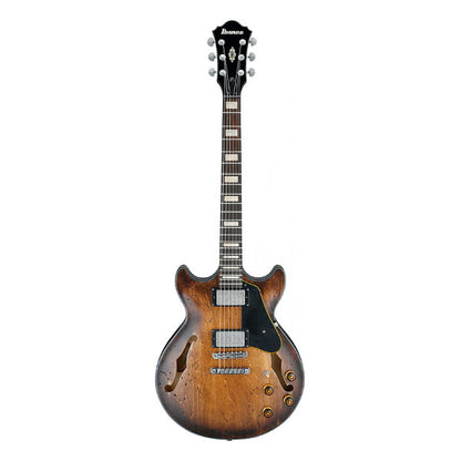 Ibanez AMV10A-TCL Hollow Body Maple Top Tobacco Burst Low Gloss Electric Guitar (AMV10)