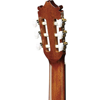 Ibanez GA15-NT Classical Body Cedar Top Full Sized Classical Guitar Natural High Gloss (GA-15)