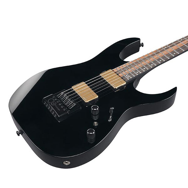 Ibanez RGR52ET-BK RG Series Nyatoh Body EBony Fretboard Professional Electric Guitar - Black