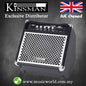 Kinsman KB25 25 Watts Bass Amp Bass Guitar Practice Amplifier