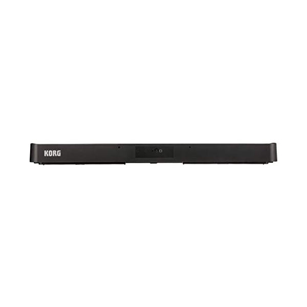 Korg B2N 88 Key Digital Piano Natural Touch Keyboard with Sustain Pedal Black (B2 B2-N)