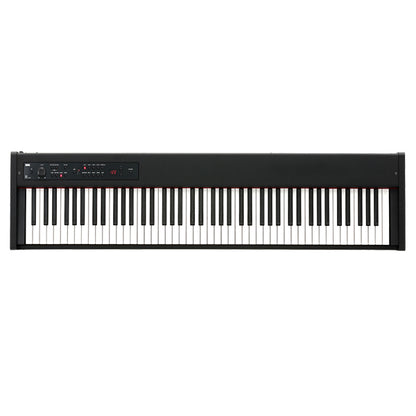 Korg D1 88 key Stage Piano Digital Piano Real Weighted Hammer Action 3 (D-1 D 1)