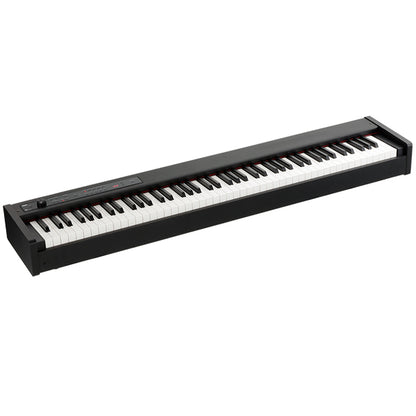 Korg D1 88 key Stage Piano Digital Piano Real Weighted Hammer Action 3 (D-1 D 1)