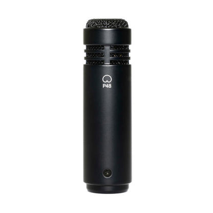 Lewitt LCT 040 Match Condenser Cardiod Small Diaphragm Acoustic Drum Guitar Mic Microphone (LCT040)