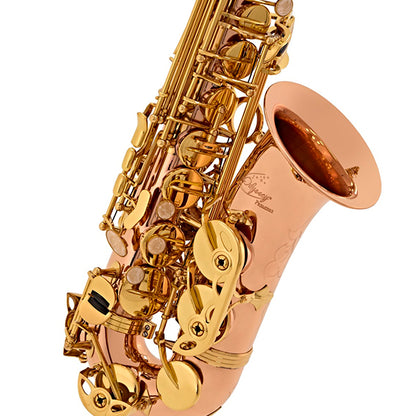 Odyssey OAS700 Premiere Eb Alto Saxophone Lacquer with Case (OAS 700)