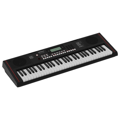 Roland E-X10 61 Keys Arranger Portable Keyboard With Bag and Stand (EX10 E X10)