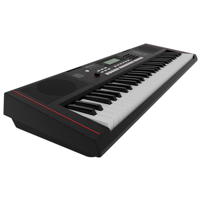 Roland E-X10 61 Keys Arranger Portable Keyboard With Bag and Stand (EX10 E X10)