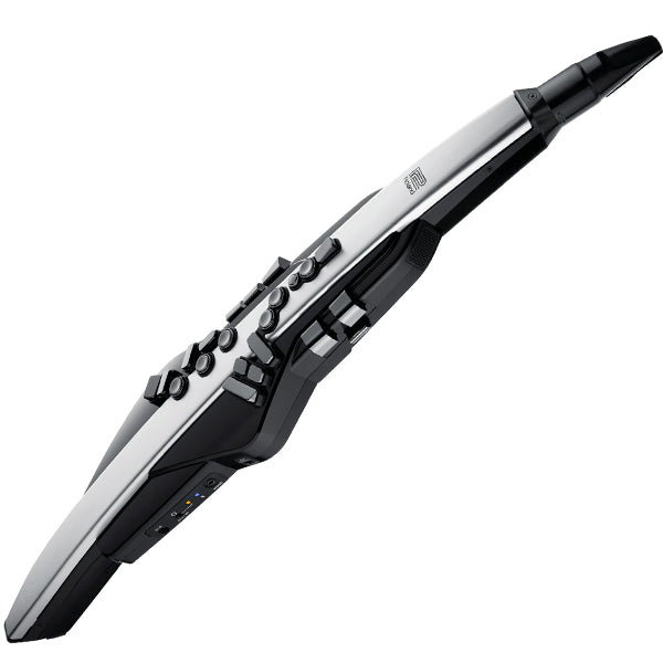 Roland Aerophone Pro AE-30 Digital Wind Instrument with Bluetooth - Silver (AE30)