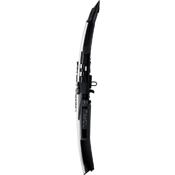 Roland Aerophone Pro AE-30 Digital Wind Instrument with Bluetooth - Silver (AE30)