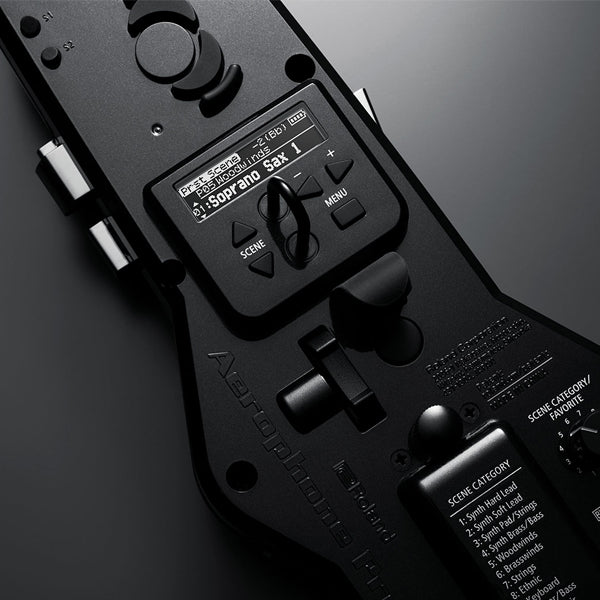 Roland Aerophone Pro AE-30 Digital Wind Instrument with Bluetooth - Silver (AE30)