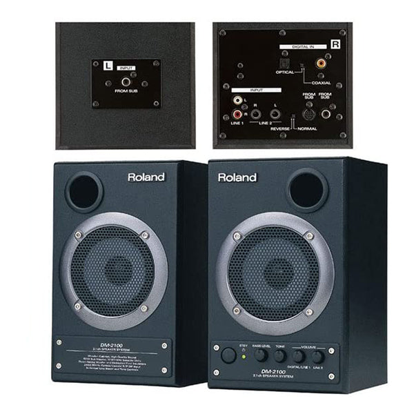 Roland DM-2100 Monitor Speaker with 50 Watt Subwoofer for Studio Monitoring (DM2100 DM 2100)