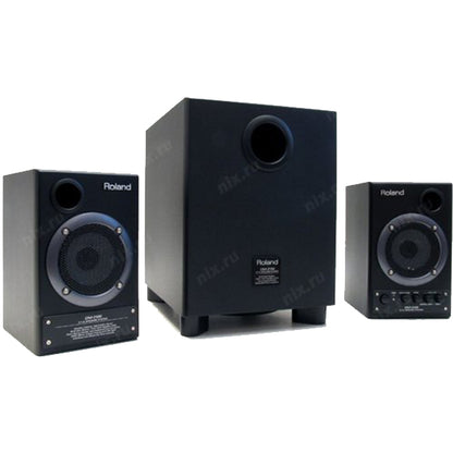 Roland DM-2100 Monitor Speaker with 50 Watt Subwoofer for Studio Monitoring (DM2100 DM 2100)