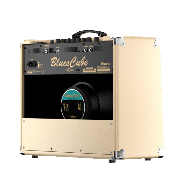 Roland Blues Cube Stage Guitar Combo Amplifier Amp USB Speaker Amp (BC STAGE)