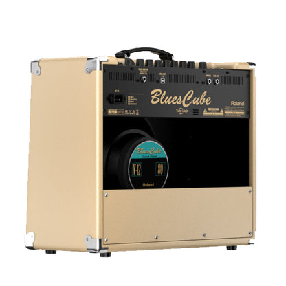 Roland Blues Cube Stage Guitar Combo Amplifier Amp USB Speaker Amp (BC STAGE)