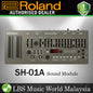 Roland SH-01A Synthesizer Module Boutique Series (SH01A SH 01A)