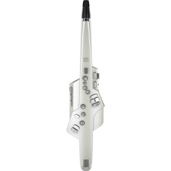 Roland AE-10 Aerophone Digital Wind Instrument MIDI Controller