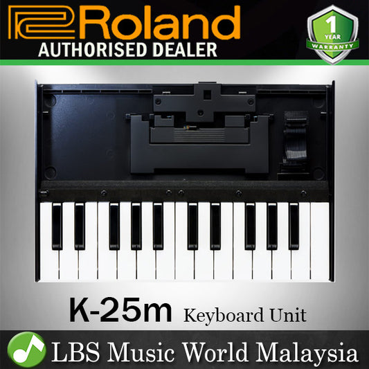 Roland K-25M 25 Key Boutique Series Portable Keyboard For Synth Module (K25M K25)