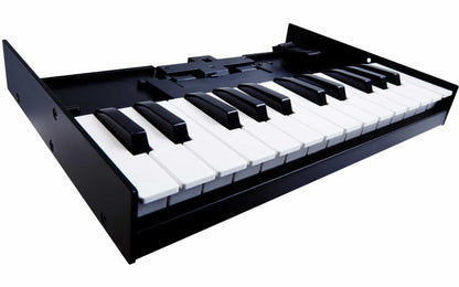 Roland K-25M 25 Key Boutique Series Portable Keyboard For Synth Module (K25M K25)