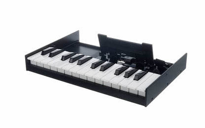 Roland K-25M 25 Key Boutique Series Portable Keyboard For Synth Module (K25M K25)