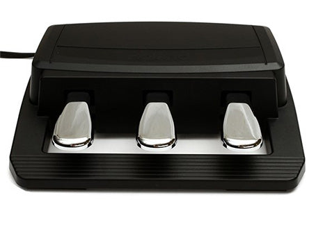 Roland RPU-3 3 Triple Foot Sustain Pedal Damper For Digital Piano (RPU3 RPU 3)