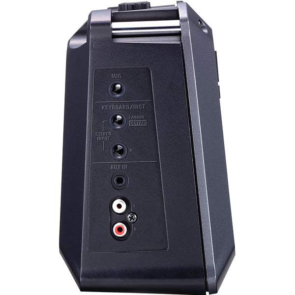 Roland MOBILE CUBE 5W Portable Battery Powered Stereo Amplifier With Effect Amp Speaker