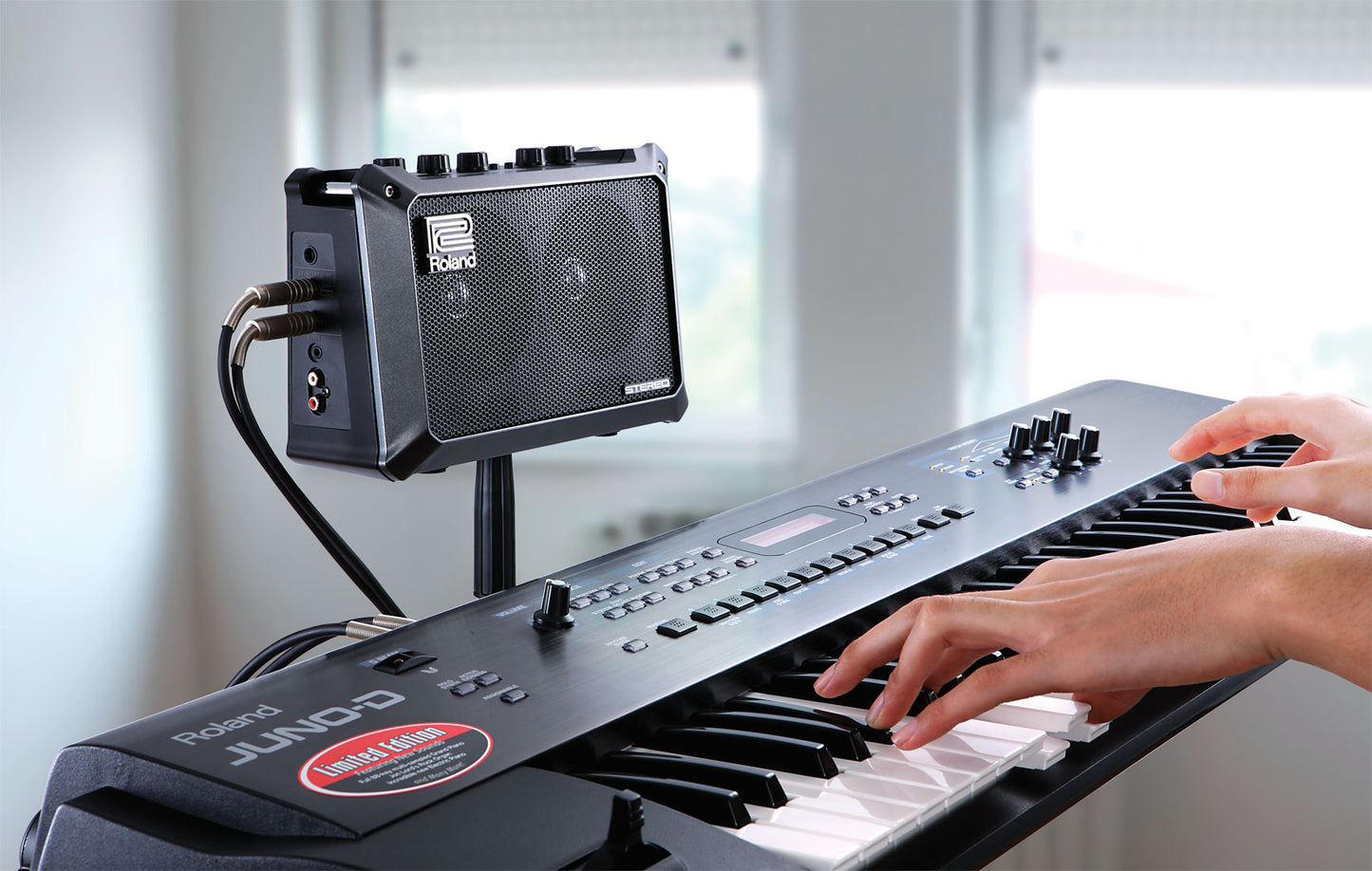 Roland MOBILE CUBE 5W Portable Battery Powered Stereo Amplifier With Effect Amp Speaker