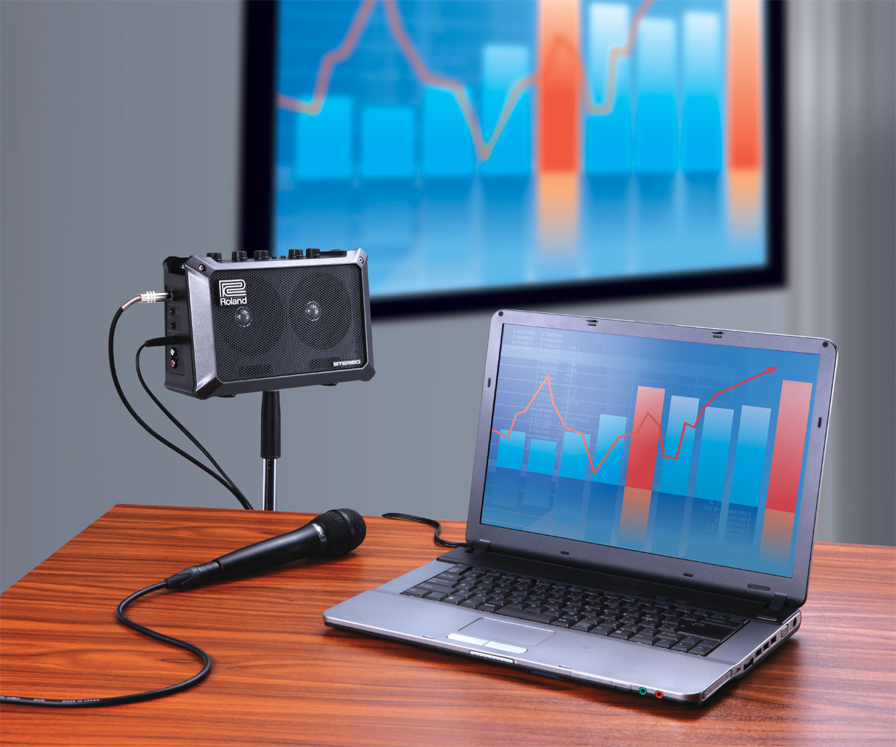 Roland MOBILE CUBE 5W Portable Battery Powered Stereo Amplifier With Effect Amp Speaker