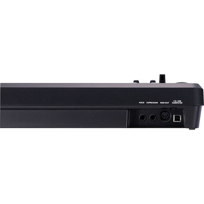 Roland A-49 49 Key USB MIDI Keyboard Controller (A49 A 49)