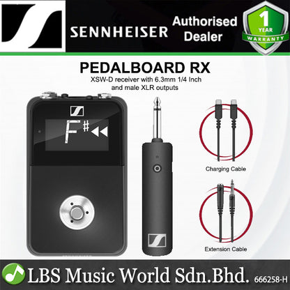 Sennheiser XSW-D Pedalboard RX Digital Wireless Receiver with with 6.3mm and male XLR outputs