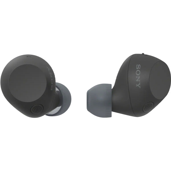 Sony WF-C710N Wireless Noise Canceling Earphone Bluetooth Earbud with Mic (C710N)