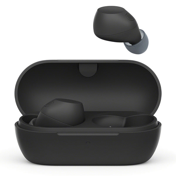 Sony WF-C710N Wireless Noise Canceling Earphone Bluetooth Earbud with Mic (C710N)