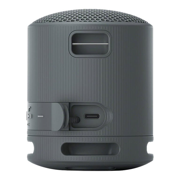 Sony SRS-XB100 Portable Wireless Bluetooth Water Resistance Speaker (SRSXB100 SRS XB100)