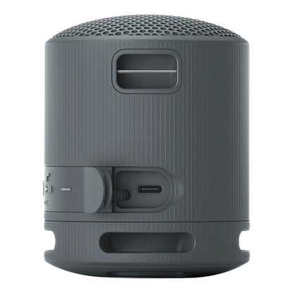 Sony SRS-XB100 Portable Wireless Bluetooth Water Resistance Speaker (SRSXB100 SRS XB100)