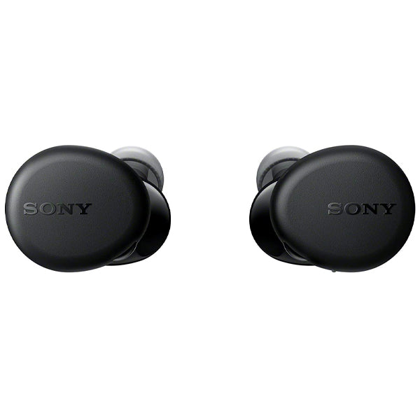 Sony WF-XB700 Extra Bass Truly Wireless Bluetooth In Ear Headphone Earbuds with Mic (WFXB700 XB700)