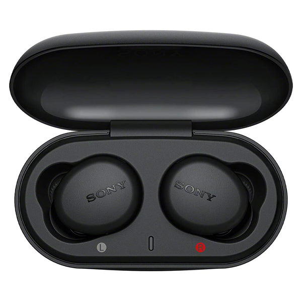 Sony WF-XB700 Extra Bass Truly Wireless Bluetooth In Ear Headphone Earbuds with Mic (WFXB700 XB700)