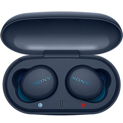 Sony WF-XB700 Extra Bass Truly Wireless Bluetooth In Ear Headphone Earbuds with Mic (WFXB700 XB700)