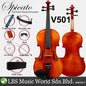 Spicato V501 4/4 Full Size Professional Violin Package with Case