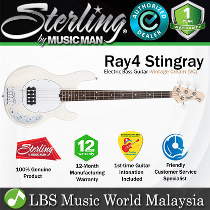 Sterling by Ernie Ball Music Man Ray4 Stingray Bass Guitar- Vintage Cream (Ray4-VC)