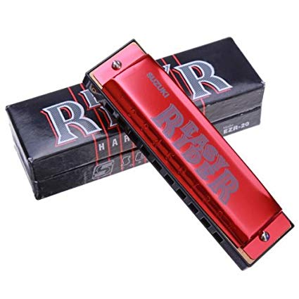 Suzuki Harmonica EZR-20 AL 10 Hole Easy Rider Diatonic Harmonica (EZR20 EZR 20)