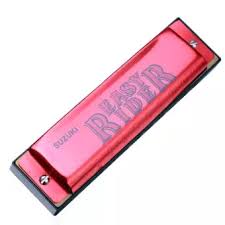 Suzuki Harmonica EZR-20 AL 10 Hole Easy Rider Diatonic Harmonica (EZR20 EZR 20)