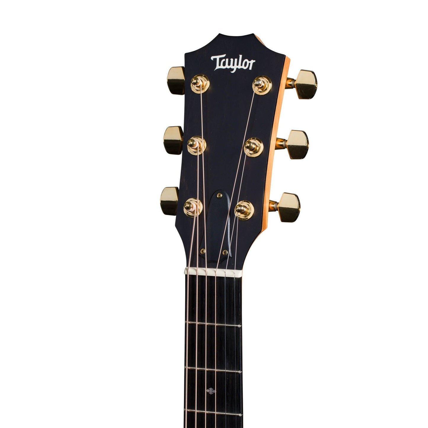 Taylor 214ce SG LTD Fumed Sweet Gum Grand Auditorium Guitar Sitka Spruce Top Acoustic Electric Guitar (214 CE)