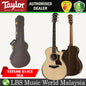 Taylor 814ce V-Class Bracing Grand Auditorium Acoustic Electric Guitar Smoked with Case (814 ce)