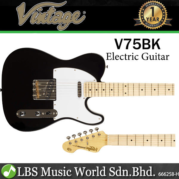 Vintage V75BK Reissued American Alder Body SS Pickup Electric Guitar Black (V75 BK)