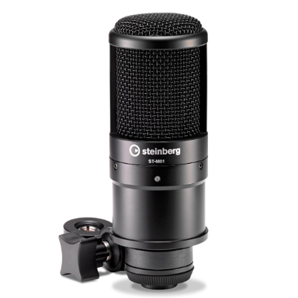 Yamaha Steinberg UR12 Podcast Starter Pack Interface with Microphone and WaveLab Cast and Software